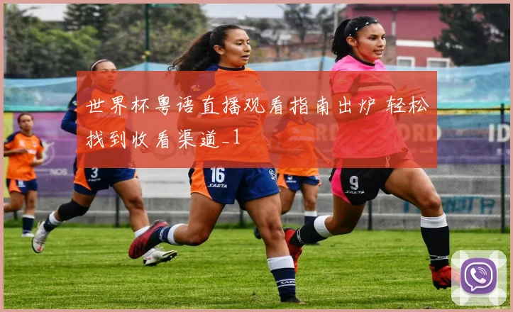 世界杯粤语直播观看指南出炉 轻松找到收看渠道_1