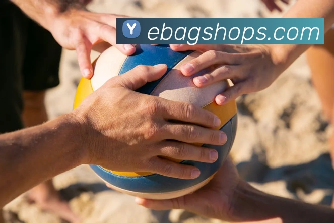 多媒体互动体验